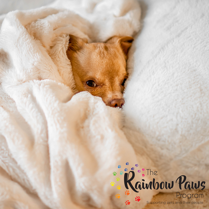 Hotel Bookings with a Difference