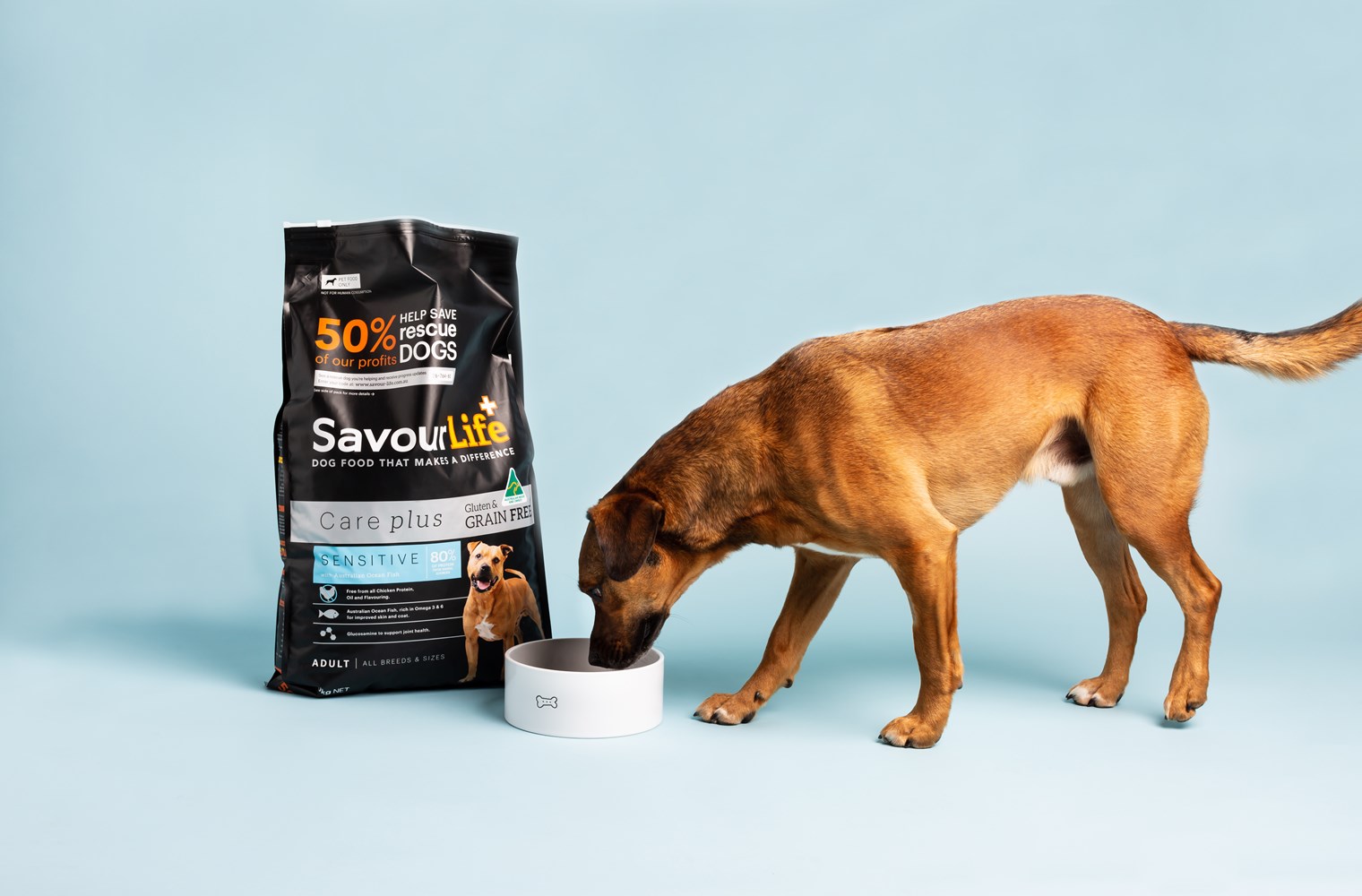 Savourlife puppy outlet 10kg