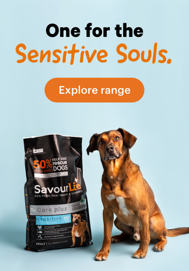 savourlife dog